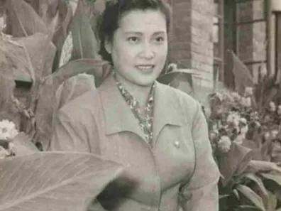 秦怡