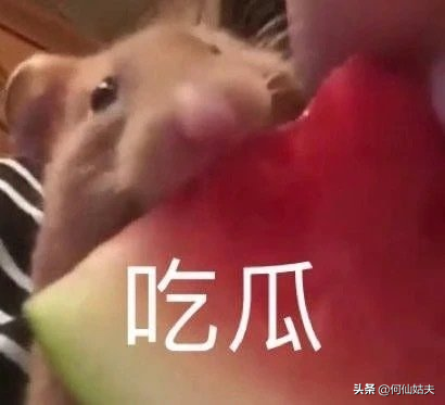 張亮