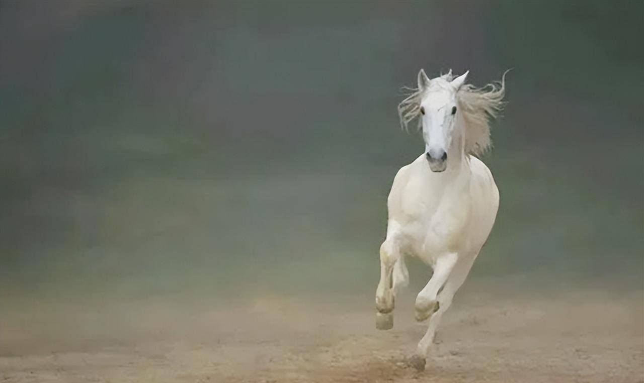 馮國璋