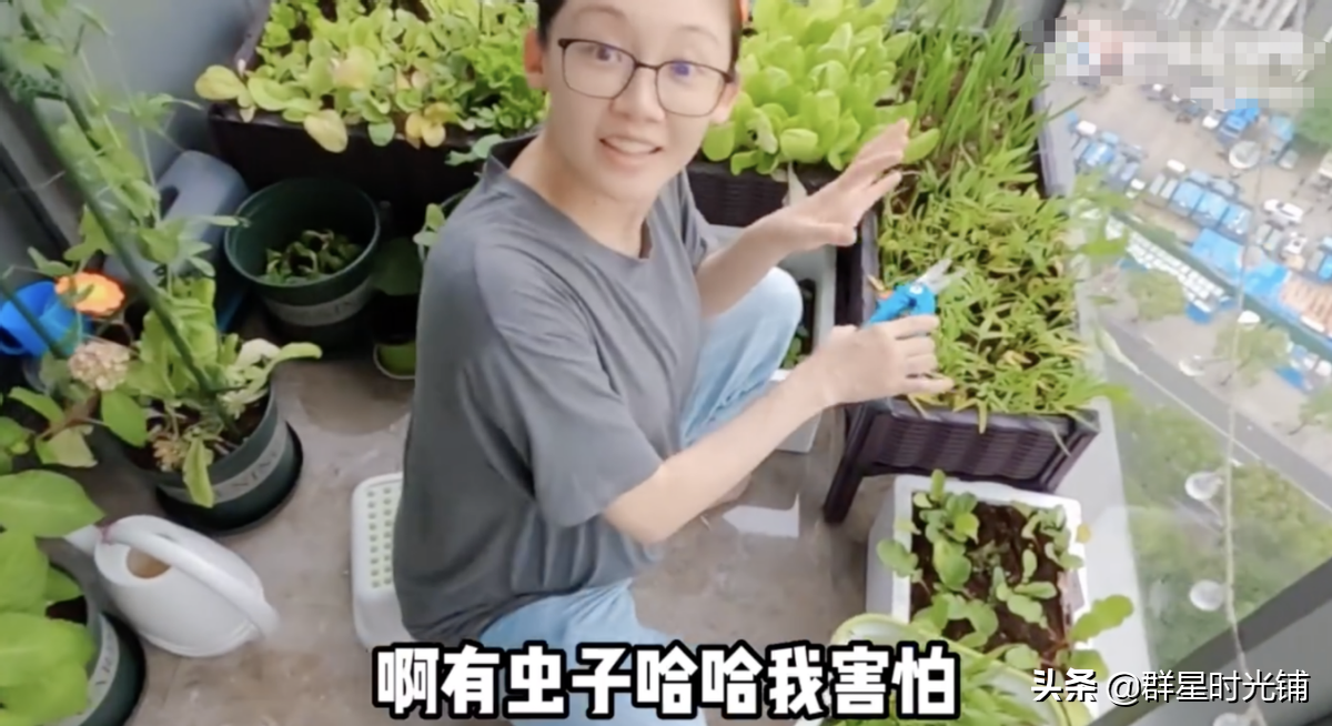 苗苗