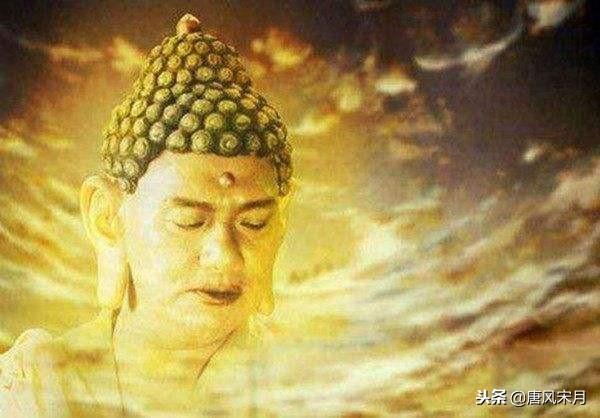 金蟬子
