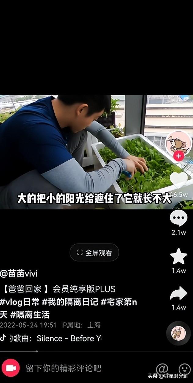 苗苗