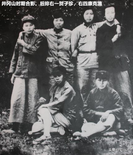 賀子診