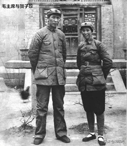 賀子診