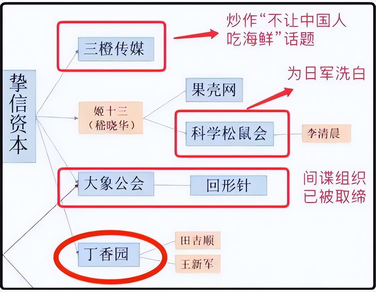 丁香