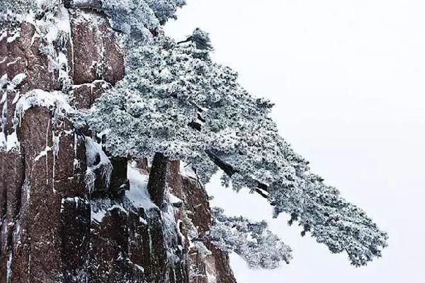 李白