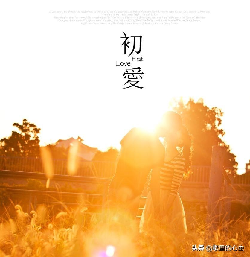 楊宗緯