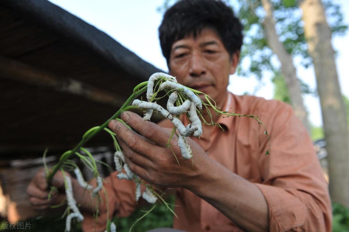 李商隱
