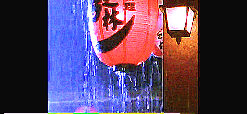 辛曉琪