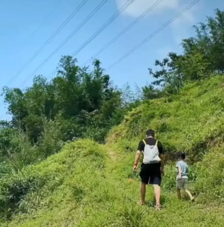 劉若英