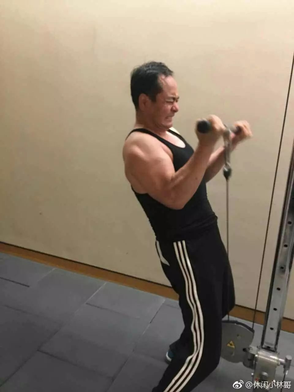 楊冪