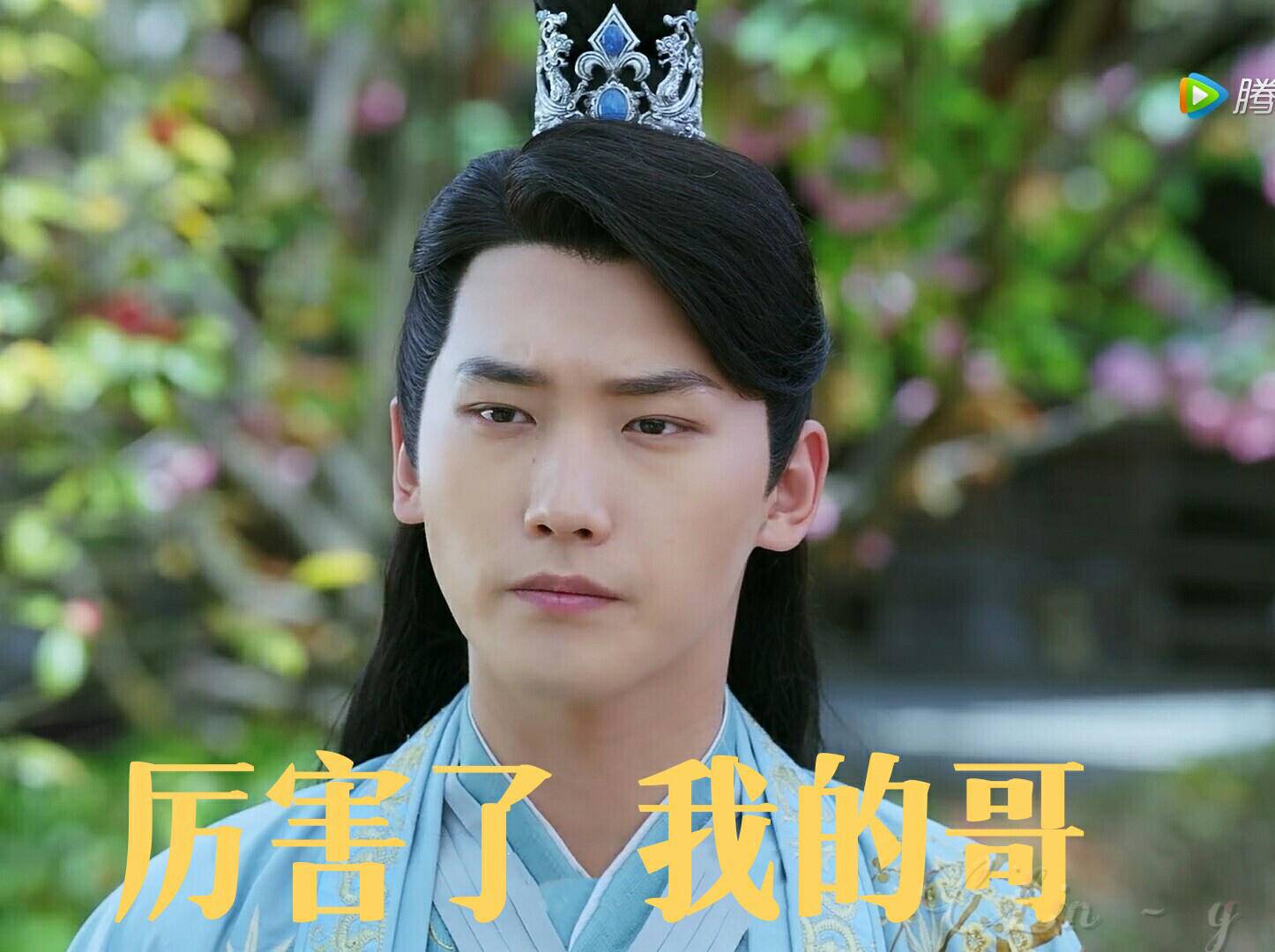 楊冪