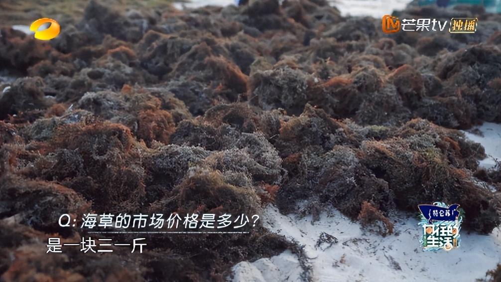 許知遠