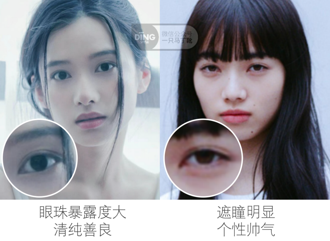 張婧儀