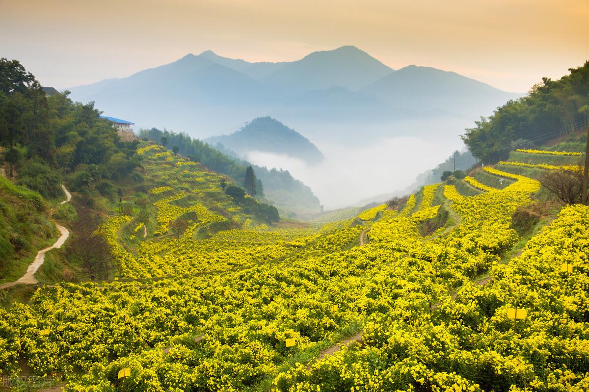 陶淵明