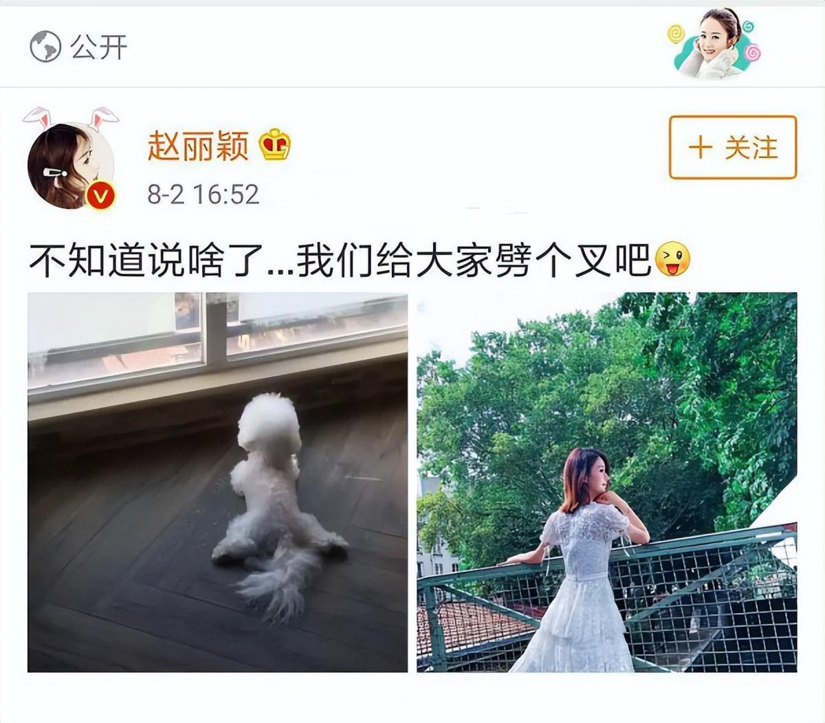 迪麗熱巴
