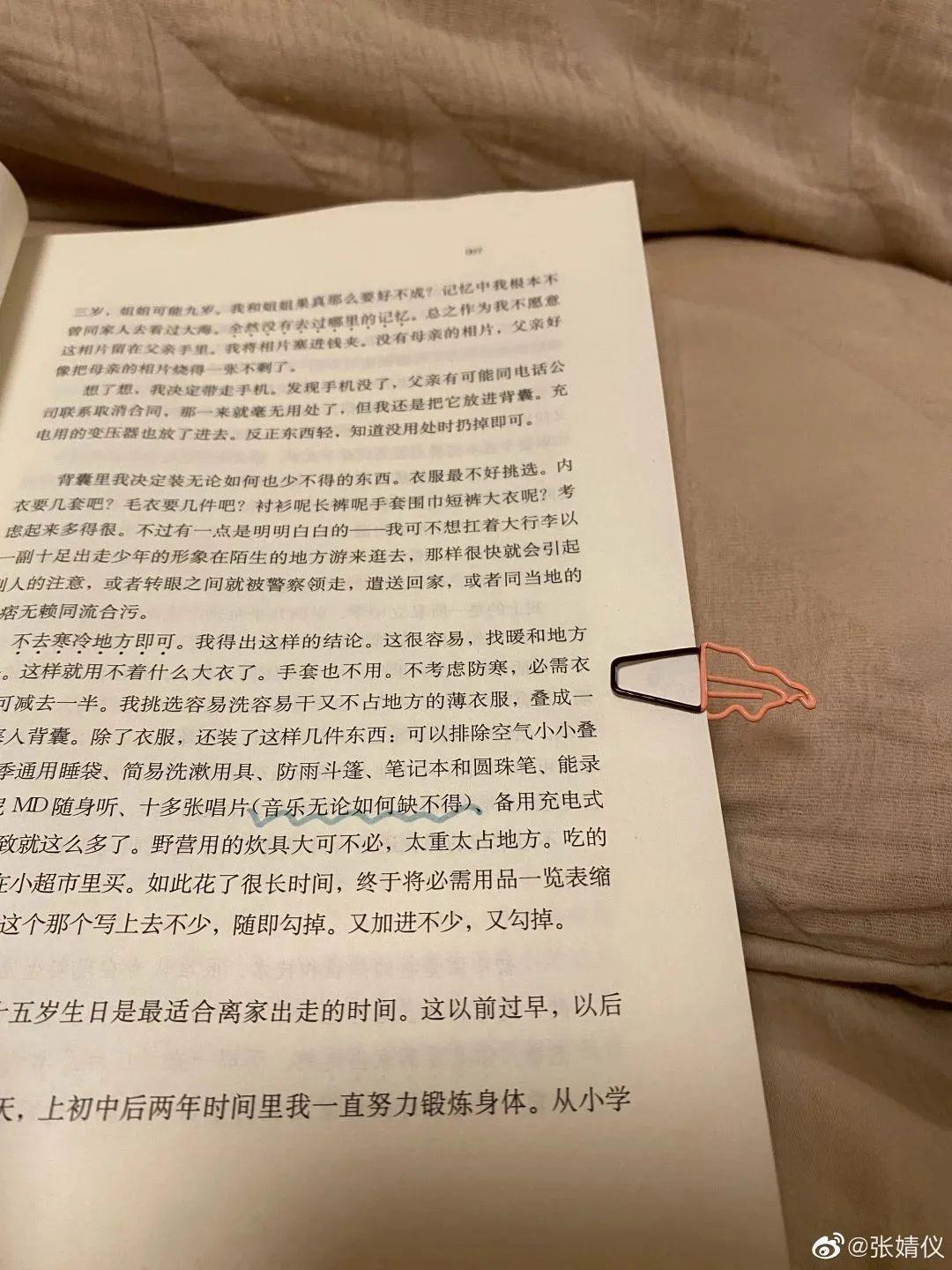 張婧儀