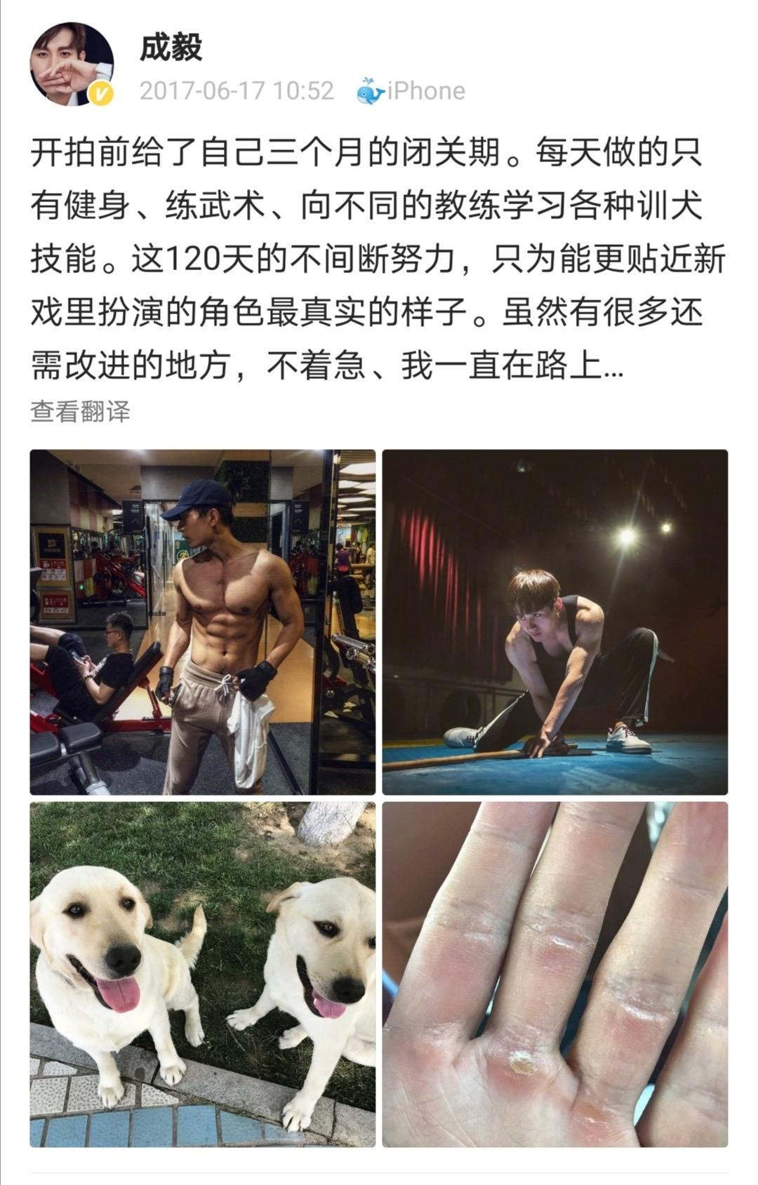 成毅
