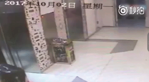 毛曉彤