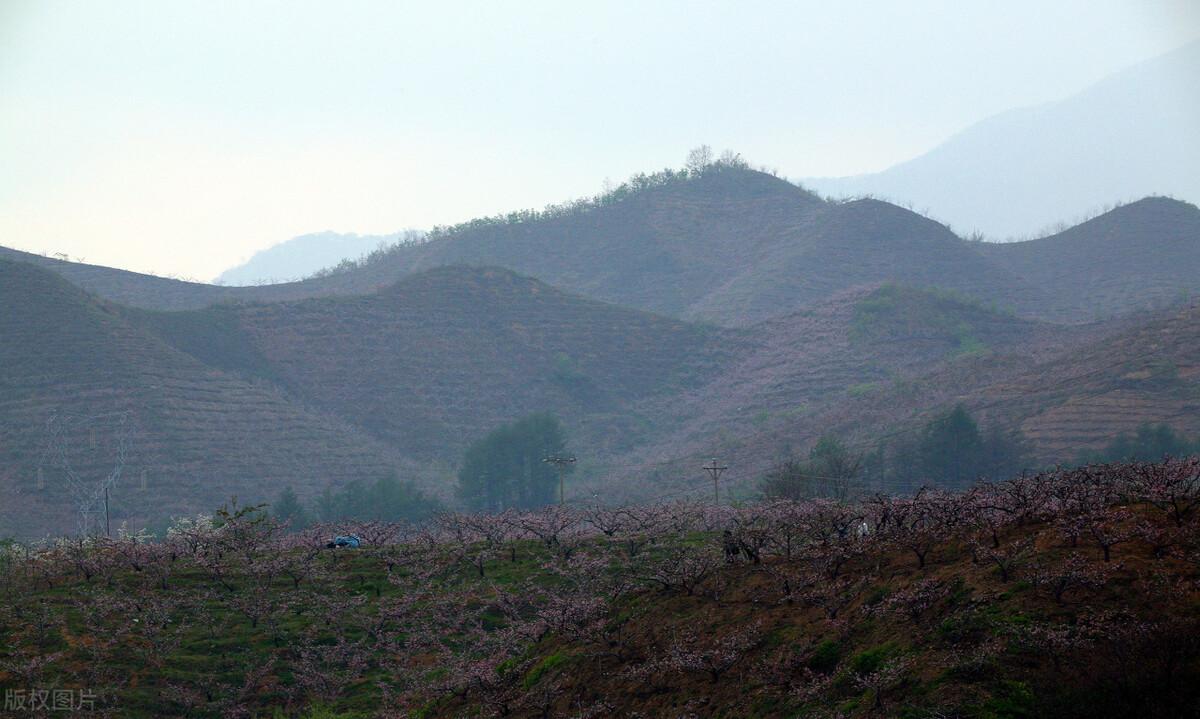 陶淵明