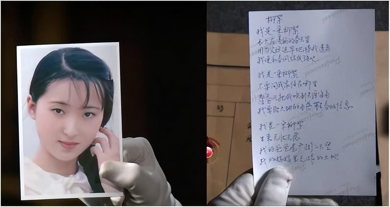 陳曉旭
