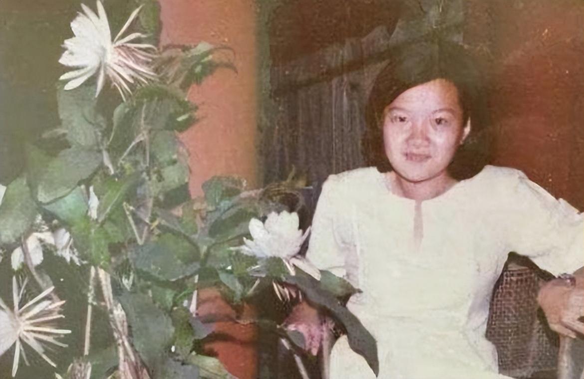 洪晃
