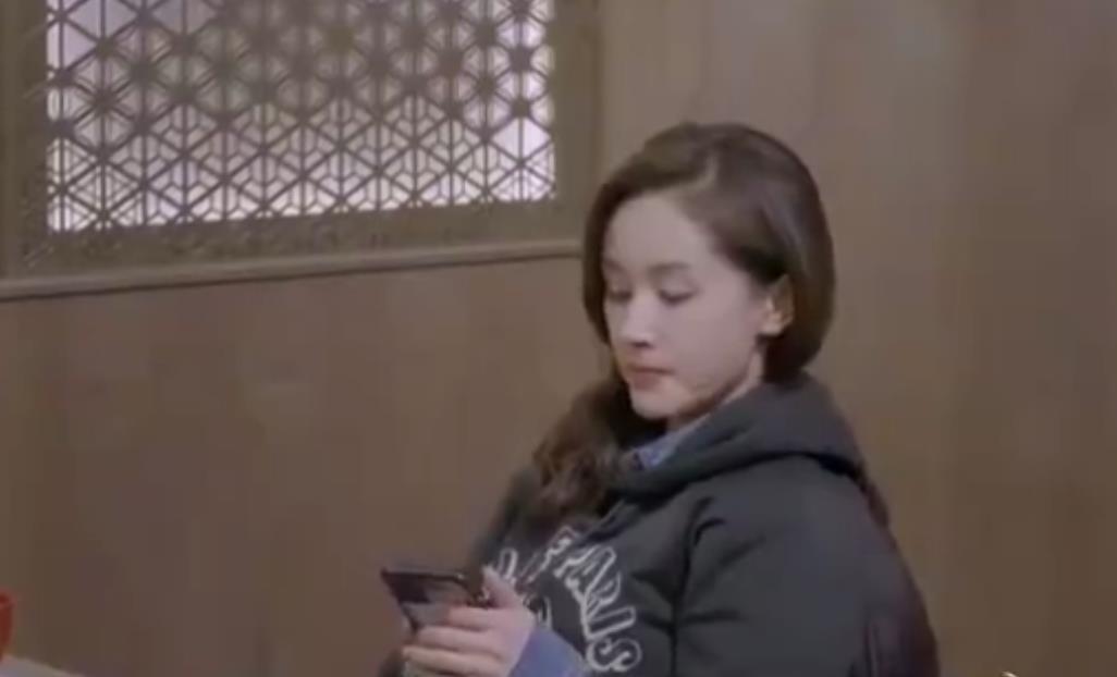 王子文