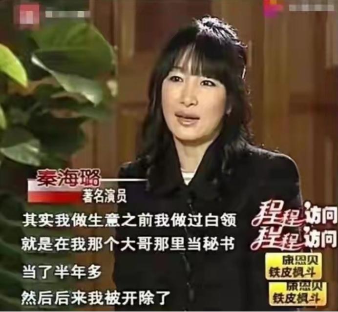 秦海璐
