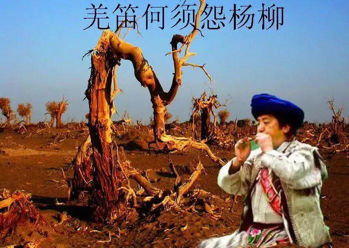 王之渙