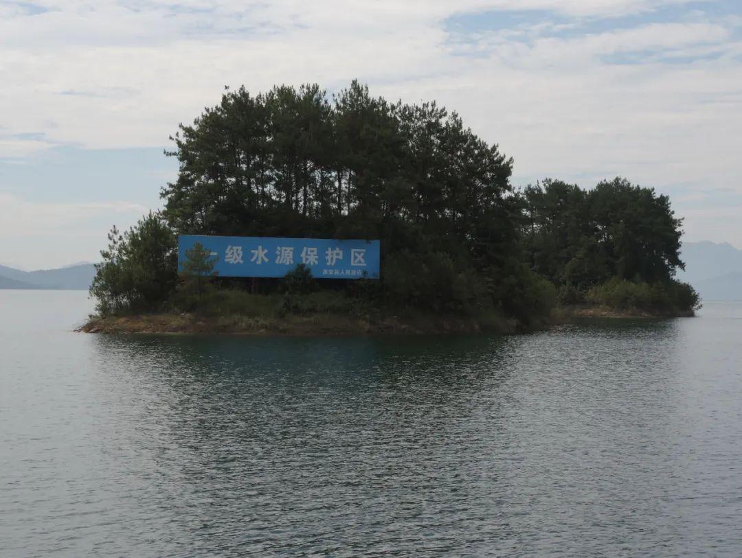 鐘睒睒
