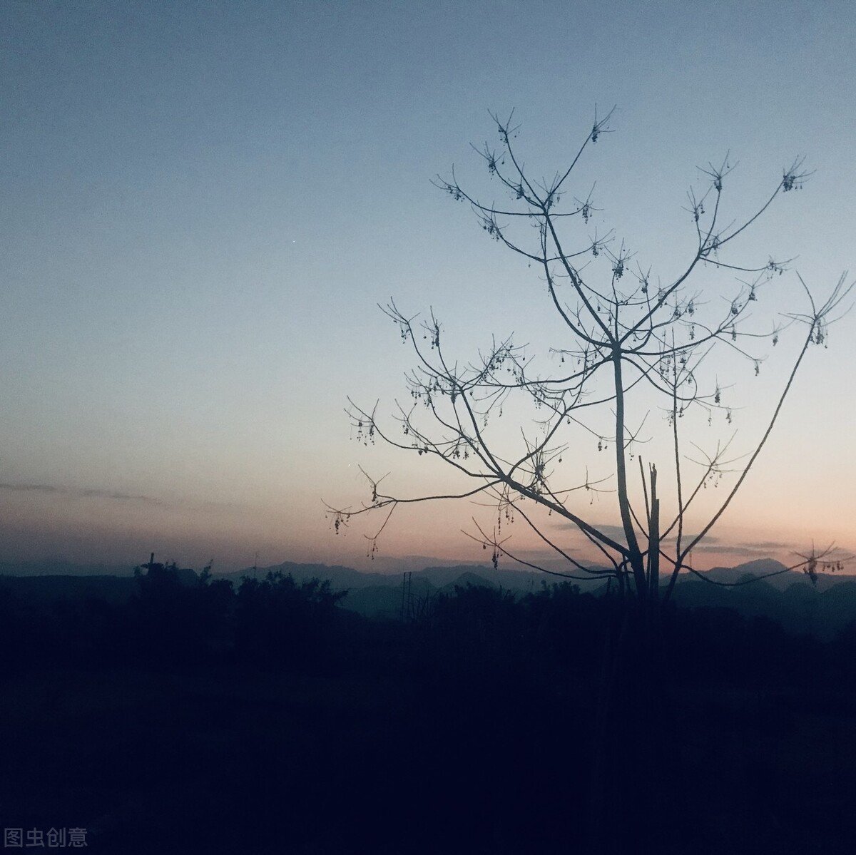 週國平
