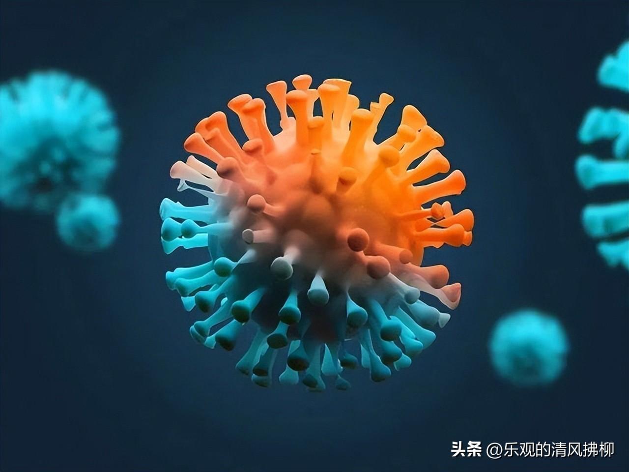胡錫進