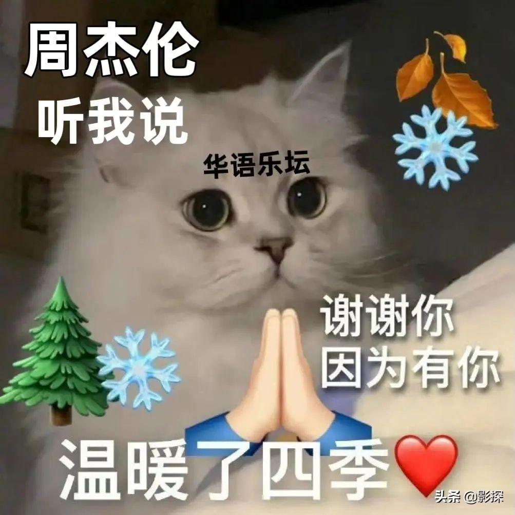 周杰倫