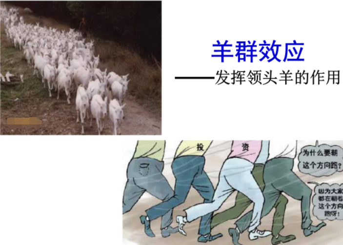 翟鴻燊