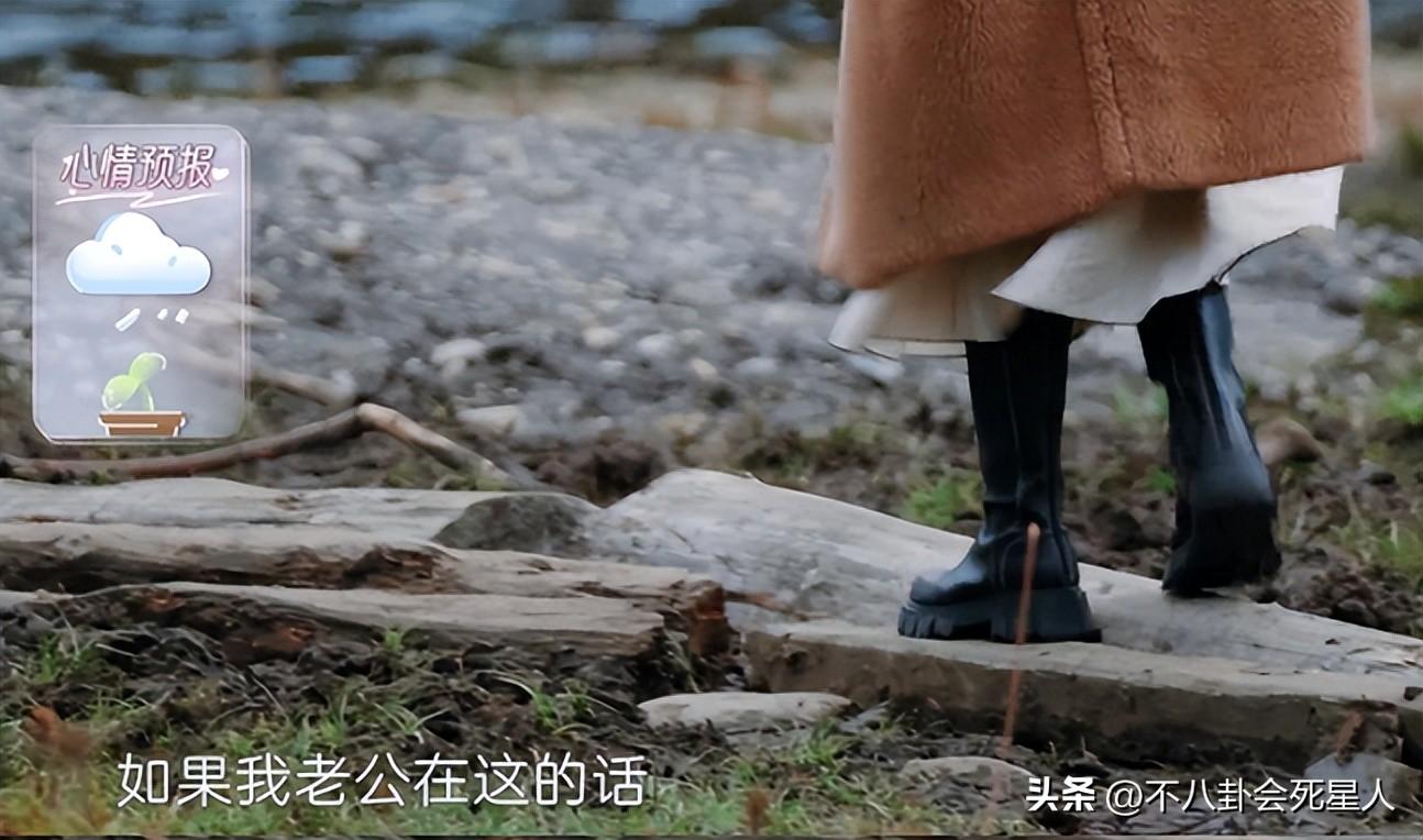 苗苗