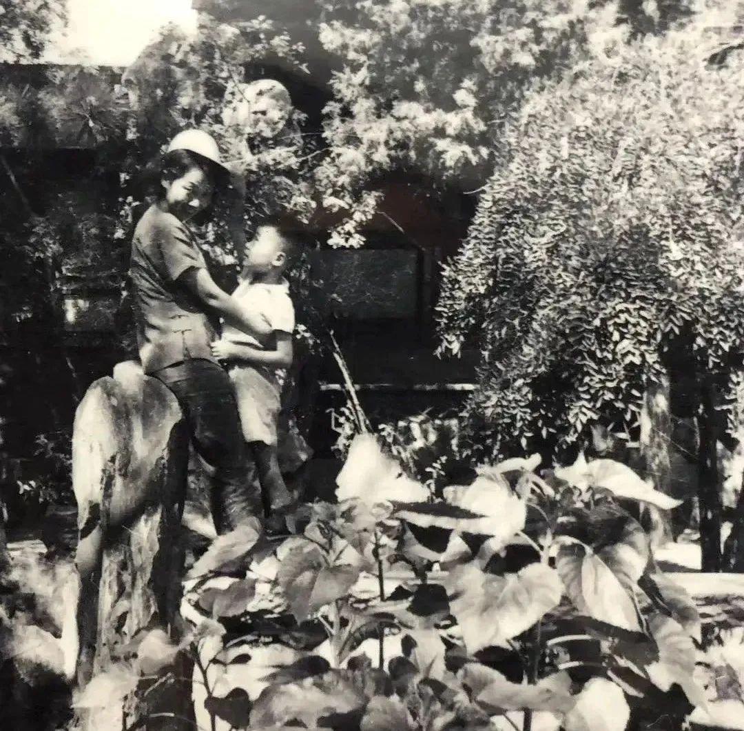田壯