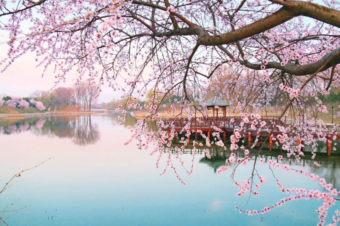 晏殊