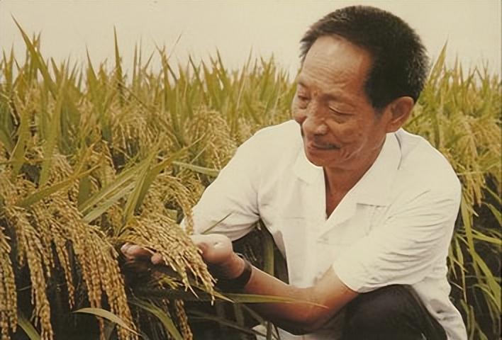 茅以升
