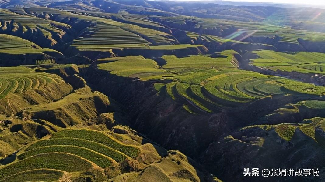 高適