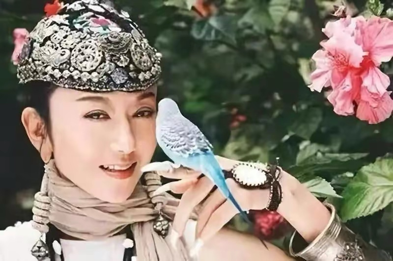 楊麗萍