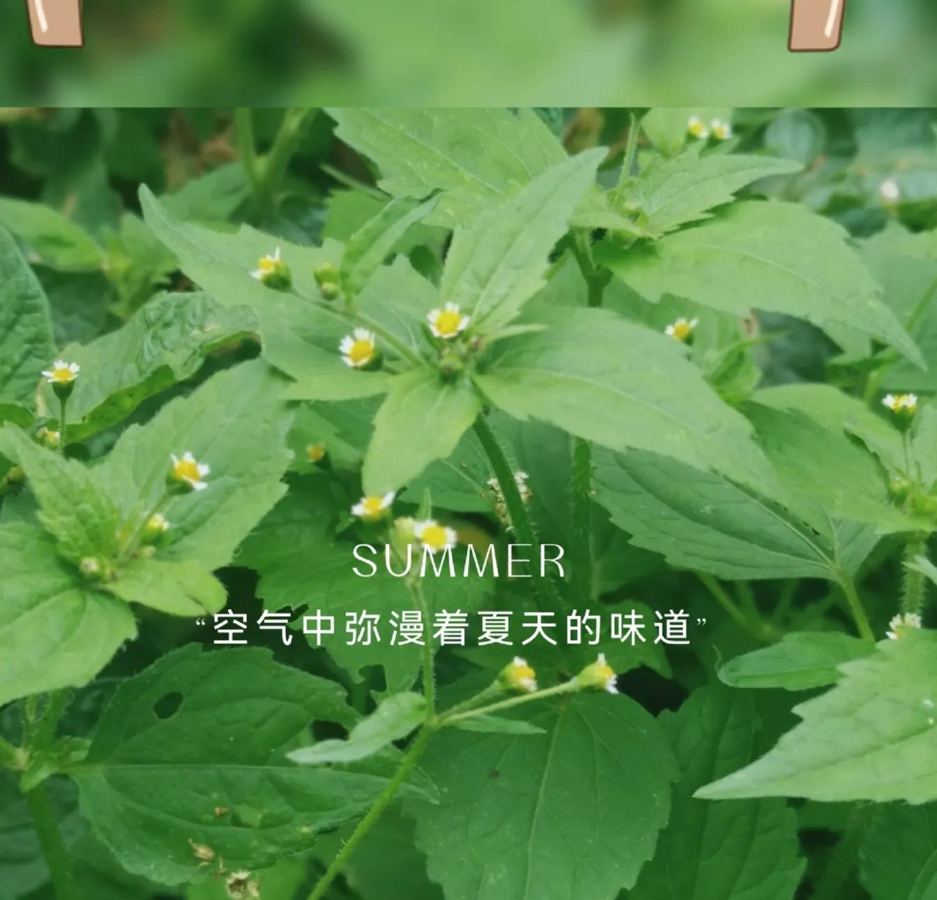 琦君