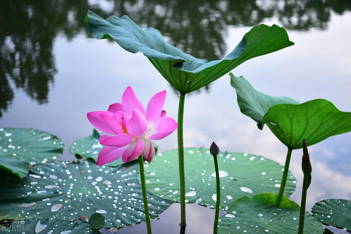 週敦頤