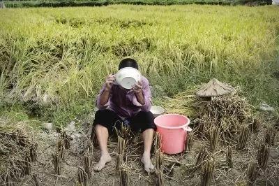 王福重