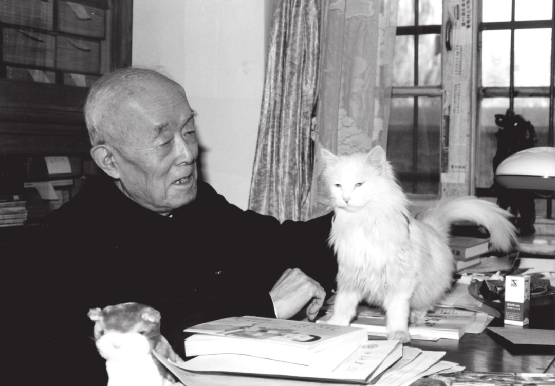 季羨慕林