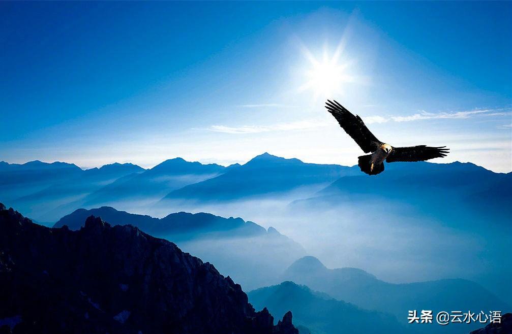 盧綸