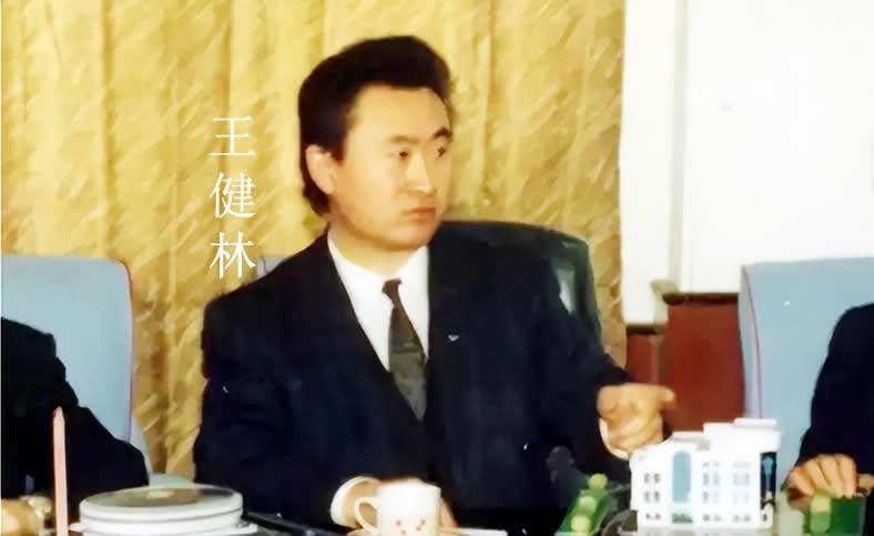 王健林