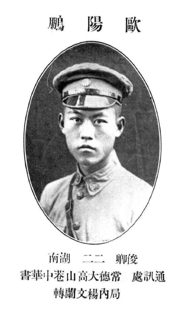 楊澄