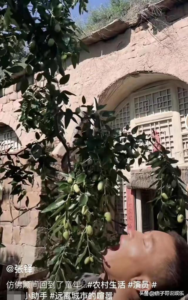 張嘉譯