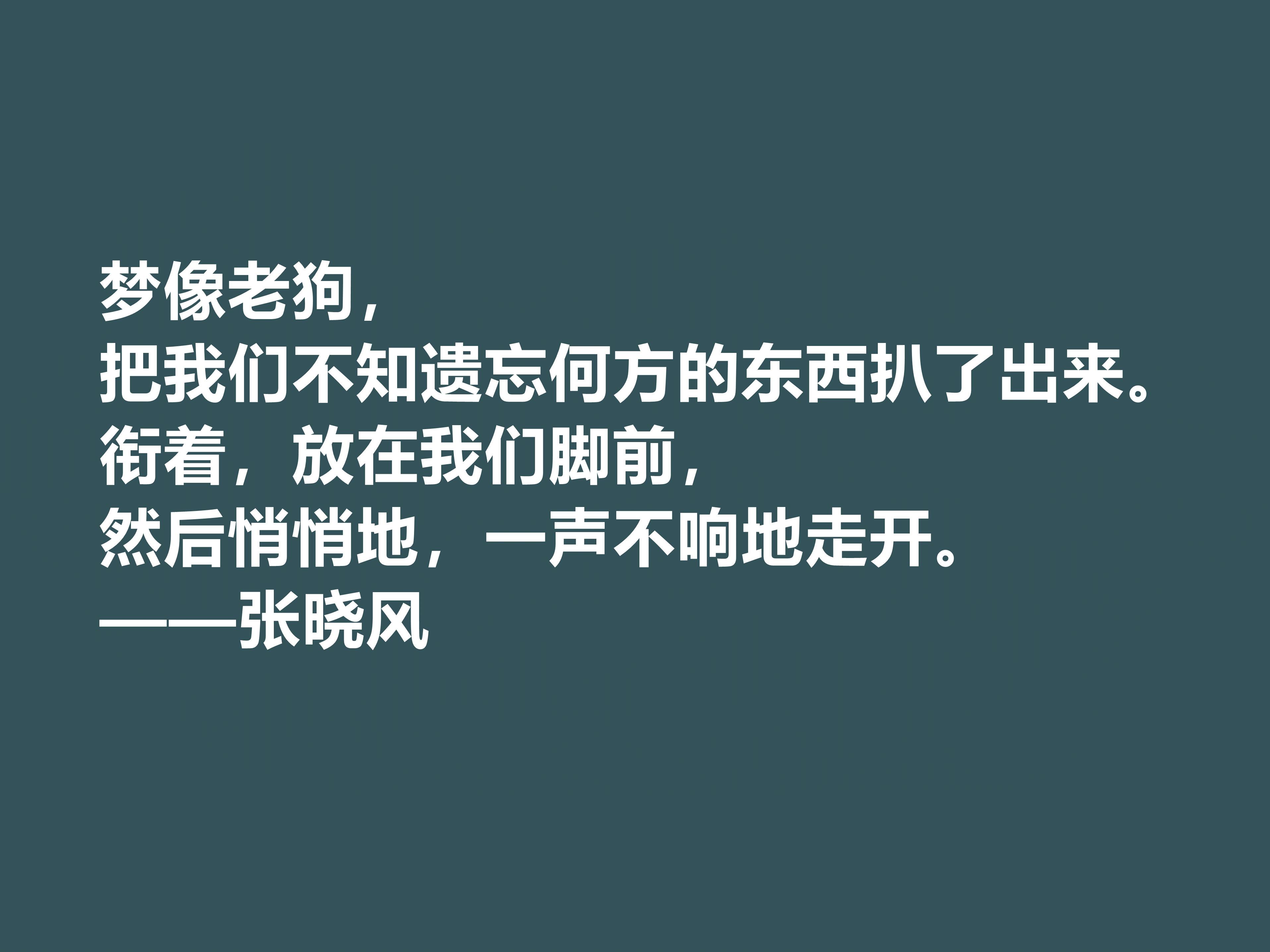 張小風