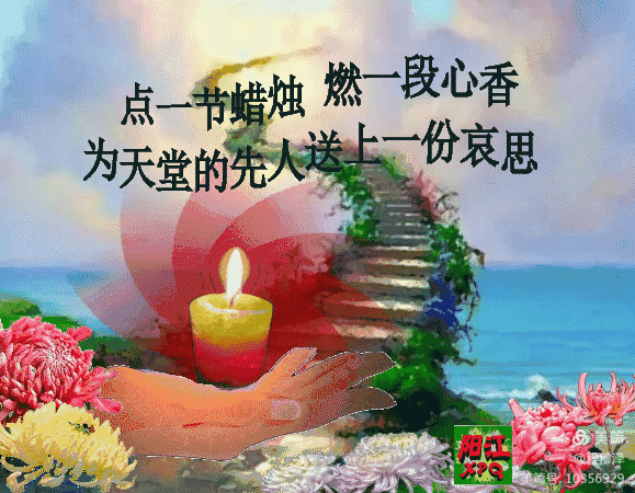 楊光合
